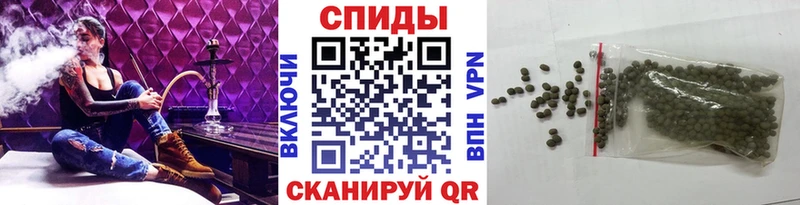 Бутират буратино  где найти   Суздаль 