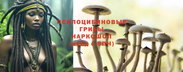 PSILOCYBIN Абдулино