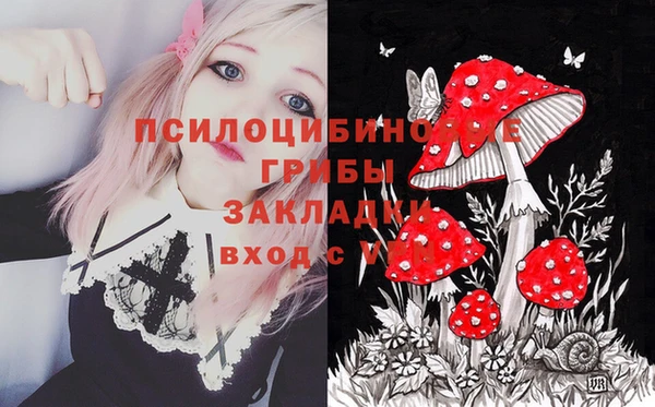 PSILOCYBIN Абдулино