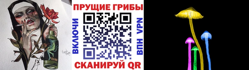 Псилоцибиновые грибы мицелий  Суздаль 
