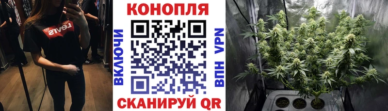 Марихуана планчик  Суздаль 